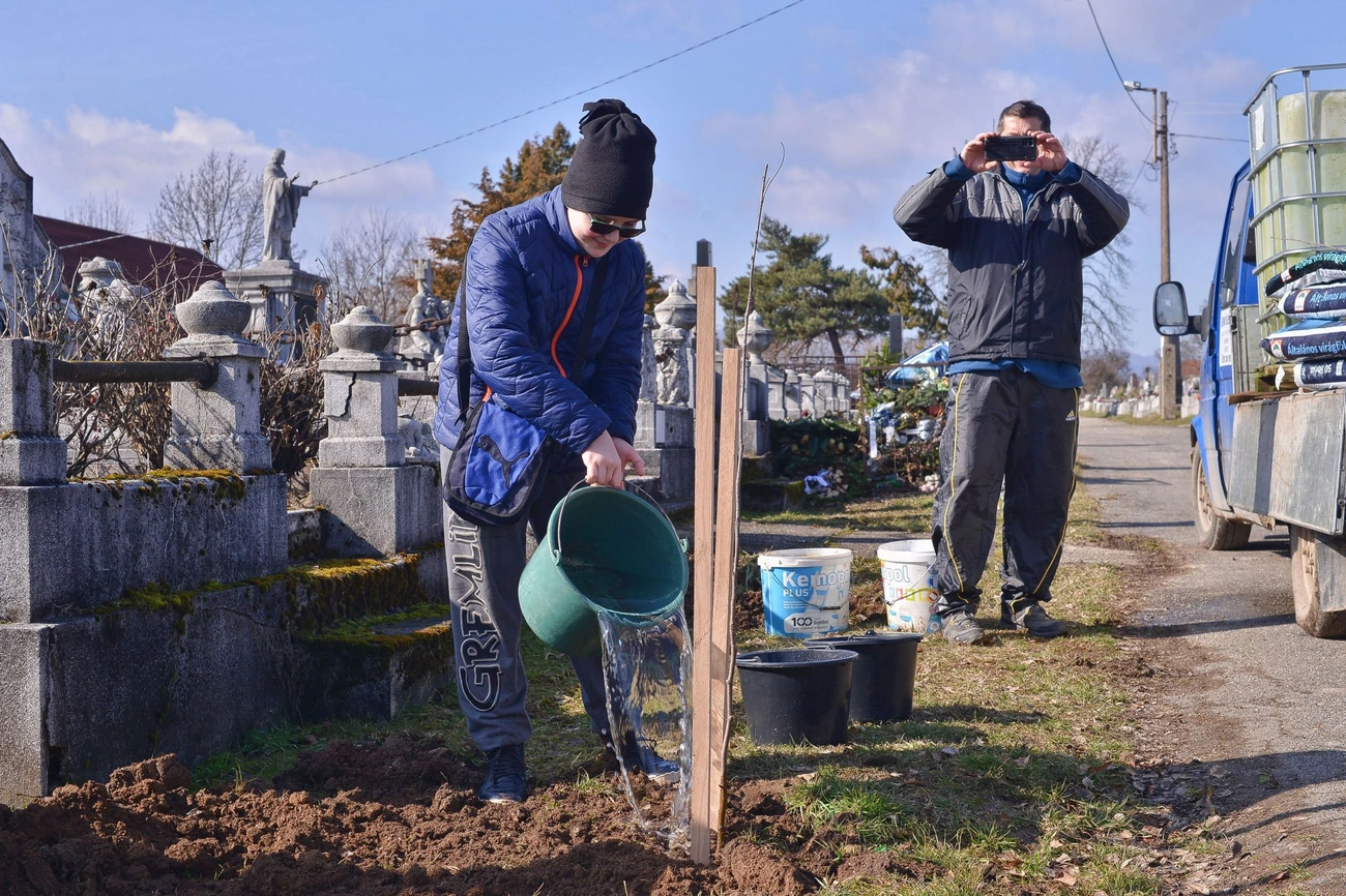 Nemzeti faültetési nap 