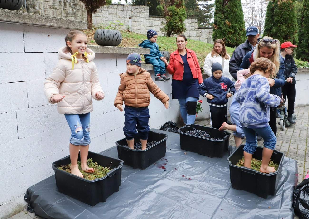 Szüreti felvonulás és Must Feszt II.
