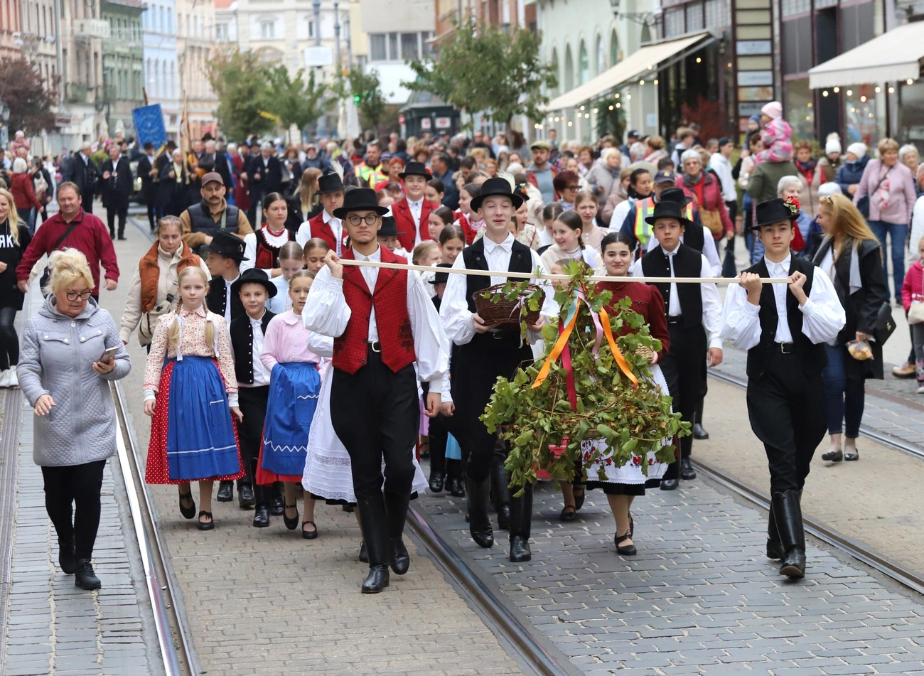 Szüreti felvonulás és Must Feszt I.