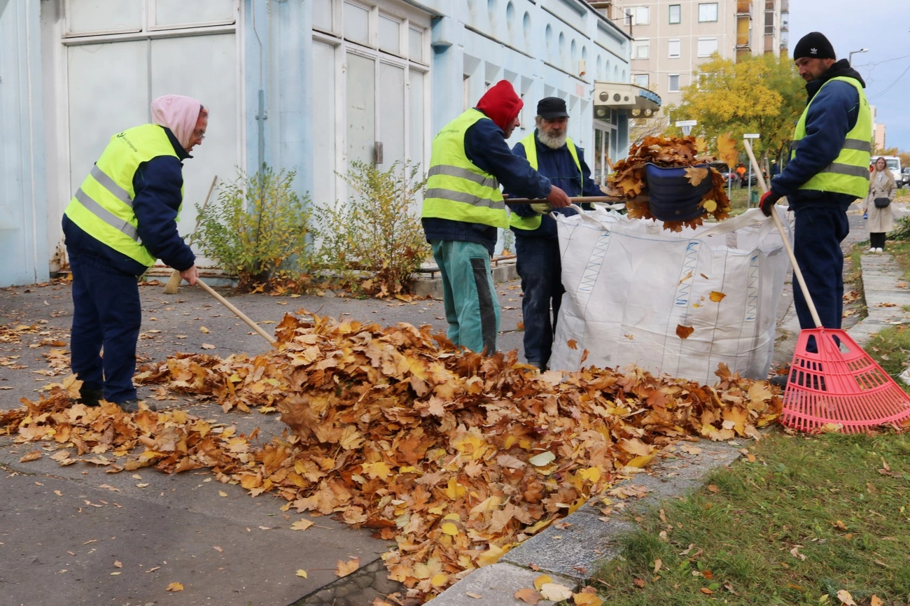 Takarítás, gallyazás, útburkolati jelek festése az Avason