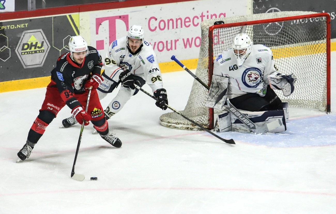 DVTK Jegesmedvék - BJA HC