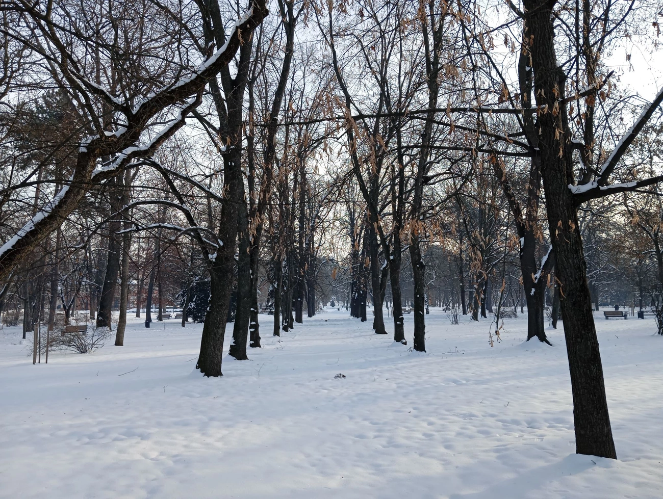 Varga Fanni - Havas Miskolc