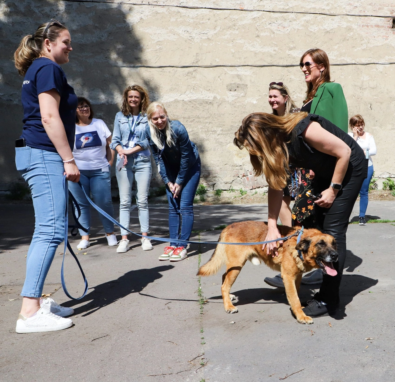 Office Dog Visit a Miskolc Holdingnál