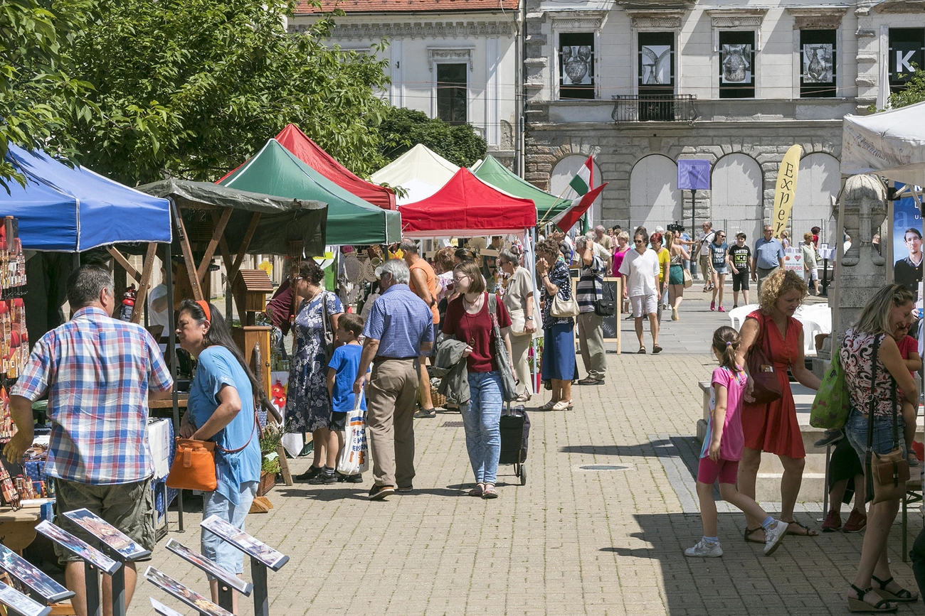 Termelői nap